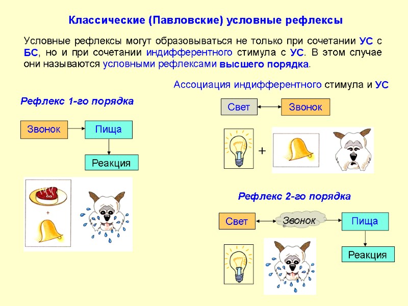 Пища Реакция Свет Звонок